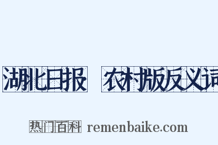 湖北日报·农村版反义词是什么意思的图片